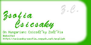 zsofia csicsaky business card